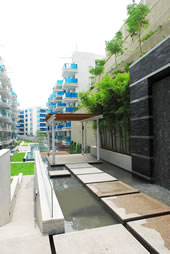 8 @ Mt Sophia